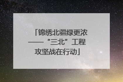 锦绣北疆绿更浓——“三北”工程攻坚战在行动