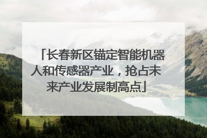 长春新区锚定智能机器人和传感器产业，抢占未来产业发展制高点