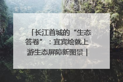 长江首城的“生态答卷”：宜宾绘就上游生态屏障新图景｜中华环保世纪行
