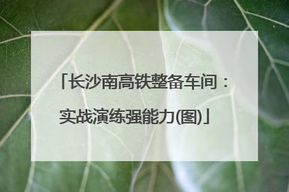 长沙南高铁整备车间：实战演练强能力(图)
