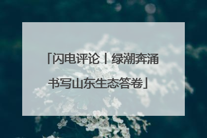 闪电评论丨绿潮奔涌 书写山东生态答卷