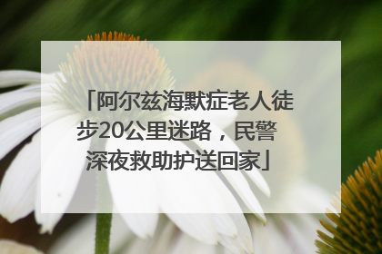 阿尔兹海默症老人徒步20公里迷路，民警深夜救助护送回家