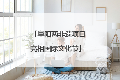 阜阳两非遗项目亮相国际文化节