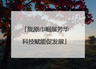 陇原巾帼展芳华 科技赋能促发展