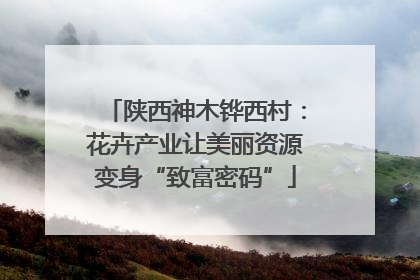 陕西神木铧西村：花卉产业让美丽资源变身“致富密码”