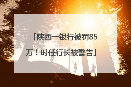陕西一银行被罚85万！时任行长被警告