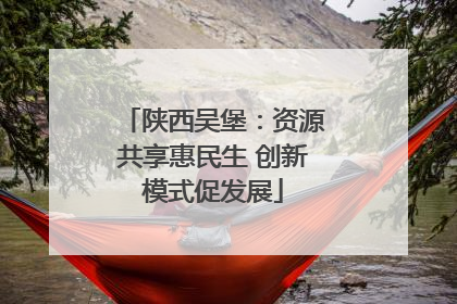 陕西吴堡：资源共享惠民生 创新模式促发展