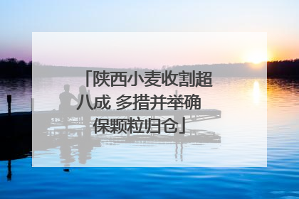 陕西小麦收割超八成 多措并举确保颗粒归仓
