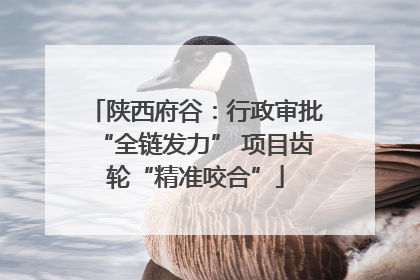 陕西府谷：行政审批“全链发力” 项目齿轮“精准咬合”