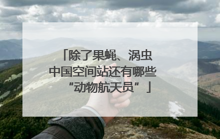 除了果蝇、涡虫 中国空间站还有哪些“动物航天员”