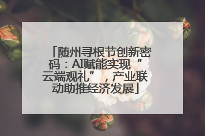 随州寻根节创新密码：AI赋能实现“云端观礼”，产业联动助推经济发展