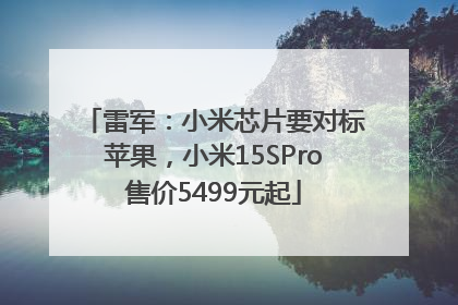 雷军：小米芯片要对标苹果，小米15SPro售价5499元起