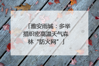 雅安雨城：多举措织密高温天气森林“防火网”