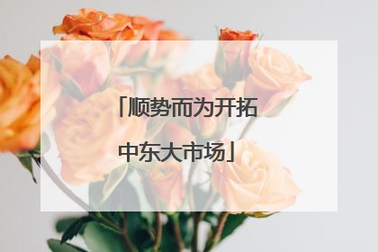 顺势而为开拓中东大市场