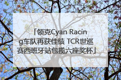 领克Cyan Racing车队再获佳绩 TCR世巡赛西班牙站包揽六座奖杯