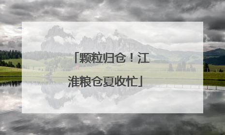 颗粒归仓！江淮粮仓夏收忙