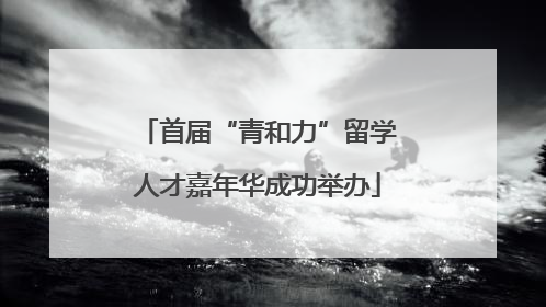 首届“青和力”留学人才嘉年华成功举办