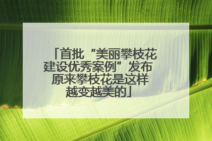 首批“美丽攀枝花建设优秀案例”发布 原来攀枝花是这样越变越美的