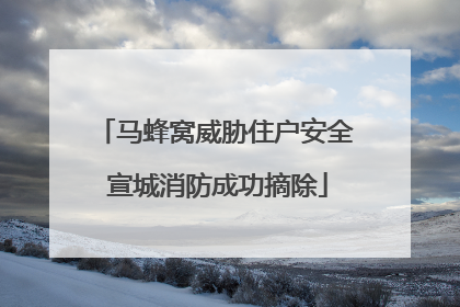 马蜂窝威胁住户安全 宣城消防成功摘除