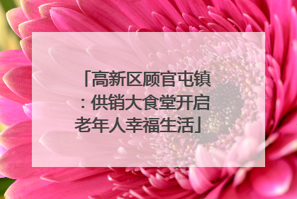 高新区顾官屯镇：供销大食堂开启老年人幸福生活