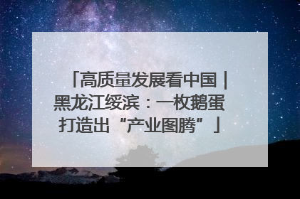 高质量发展看中国｜黑龙江绥滨：一枚鹅蛋打造出“产业图腾”