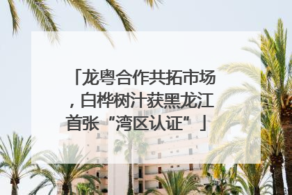 龙粤合作共拓市场，白桦树汁获黑龙江首张“湾区认证”