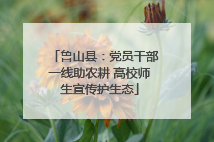 鲁山县：党员干部一线助农耕 高校师生宣传护生态