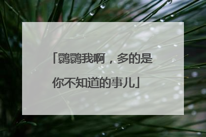 鹮鹮我啊，多的是你不知道的事儿