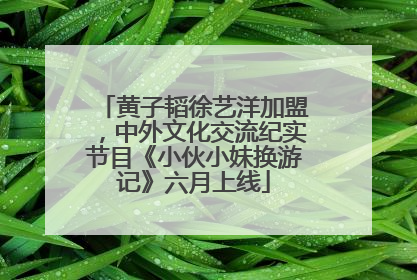黄子韬徐艺洋加盟，中外文化交流纪实节目《小伙小妹换游记》六月上线