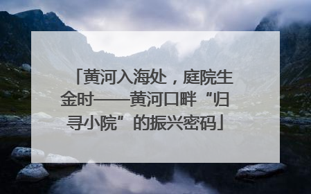 黄河入海处，庭院生金时——黄河口畔“归寻小院”的振兴密码