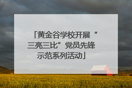黄金谷学校开展“三亮三比”党员先锋示范系列活动