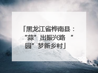 黑龙江省桦南县：“蒜”出振兴路 “园”梦新乡村