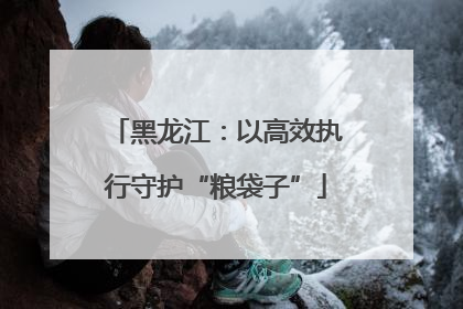 黑龙江：以高效执行守护“粮袋子”