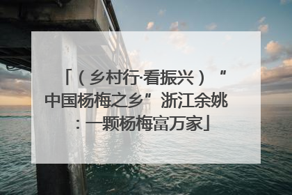 （乡村行·看振兴）“中国杨梅之乡”浙江余姚：一颗杨梅富万家