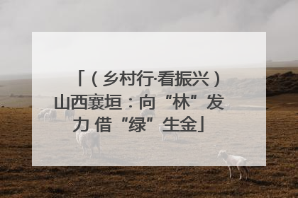 （乡村行·看振兴）山西襄垣：向“林”发力 借“绿”生金