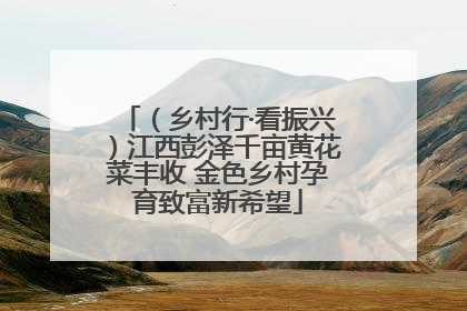 （乡村行·看振兴）江西彭泽千亩黄花菜丰收 金色乡村孕育致富新希望