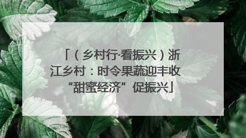 （乡村行·看振兴）浙江乡村：时令果蔬迎丰收 “甜蜜经济”促振兴