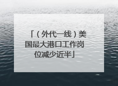 （外代一线）美国最大港口工作岗位减少近半
