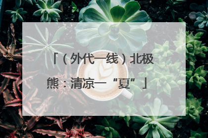 （外代一线）北极熊：清凉一“夏”