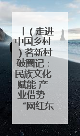 （走进中国乡村）茗新村破圈记：民族文化赋能 产业借势 “网红东风”