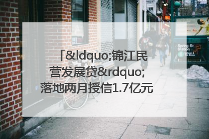“锦江民营发展贷”落地两月授信1.7亿元，惠及118家民企