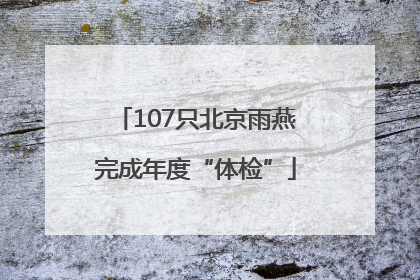107只北京雨燕完成年度“体检”