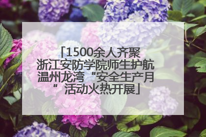 1500余人齐聚 浙江安防学院师生护航温州龙湾“安全生产月”活动火热开展
