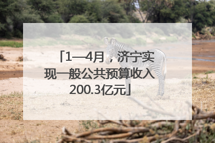 1—4月，济宁实现一般公共预算收入200.3亿元