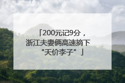 200元记9分，浙江夫妻俩高速摘下“天价李子”