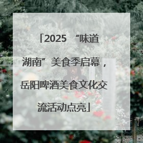 2025 “味道湖南”美食季启幕，岳阳啤酒美食文化交流活动点亮