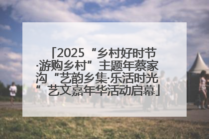 2025“乡村好时节·游购乡村”主题年蔡家沟“艺韵乡集·乐活时光”艺文嘉年华活动启幕