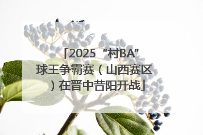 2025“村BA”球王争霸赛（山西赛区）在晋中昔阳开战
