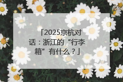 2025京杭对话：浙江的“行李箱”有什么？
