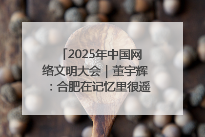 2025年中国网络文明大会｜董宇辉：合肥在记忆里很遥远也很亲切
